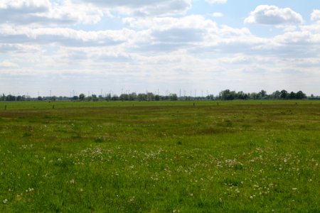 Salzstelle Nauen 2020-05-15 18