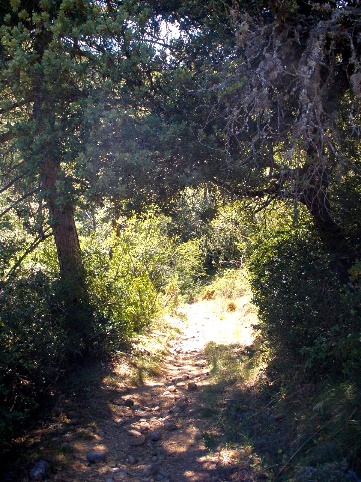San Juan de la Peña - Sendero de montaña a Santa Cruz de la Serós 16