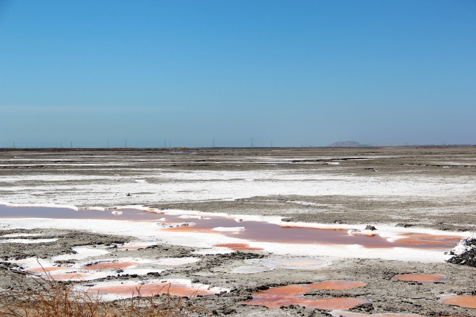 Salt ponds, Alviso Marina County Park CA Aug 2019