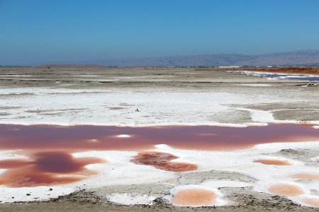 Salt ponds, Alviso Marina County Park CA Aug 2019 6