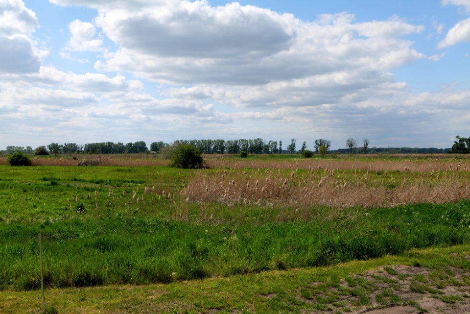 Salzstelle Nauen 2020-05-15 09