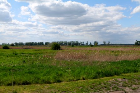 Salzstelle Nauen 2020-05-15 09