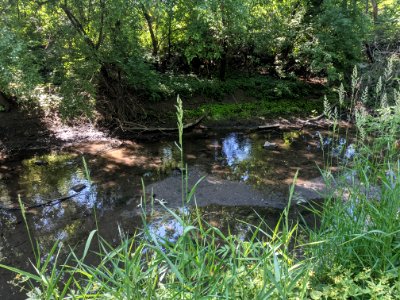 Salt Creek flows in Rolling Meadows, Illinois - 2