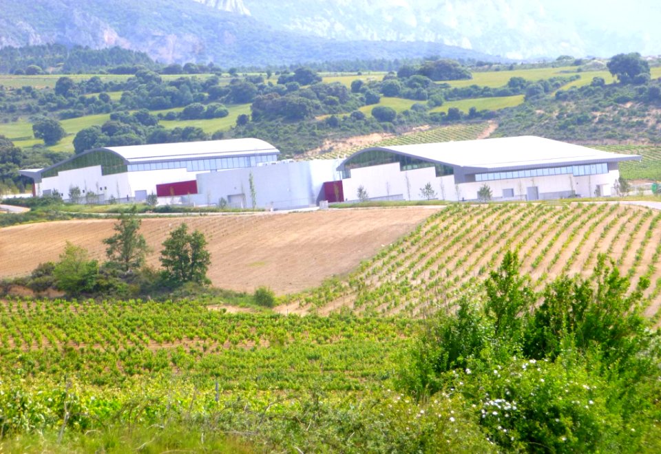 Samaniego - Bodegas Benjamín Rothschild-Vega Sicilia 3