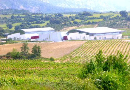 Samaniego - Bodegas Benjamín Rothschild-Vega Sicilia 3