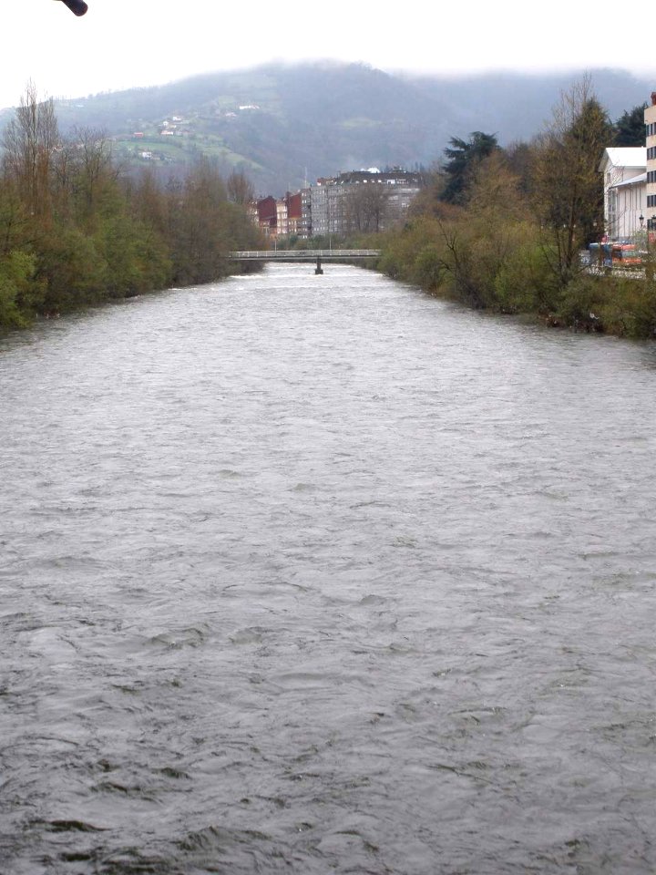 Sama (Langreo) - Río Nalón 2