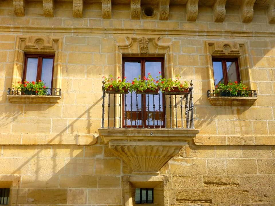 Samaniego - Hotel Palacio de Samaniego 2