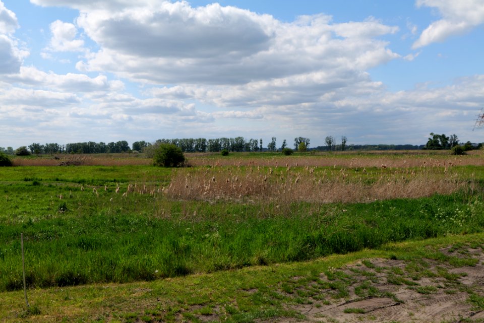 Salzstelle Nauen 2020-05-15 07