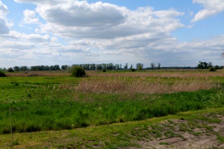 Salzstelle Nauen 2020-05-15 07