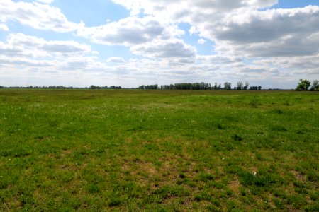 Salzstelle Nauen 2020-05-15 12