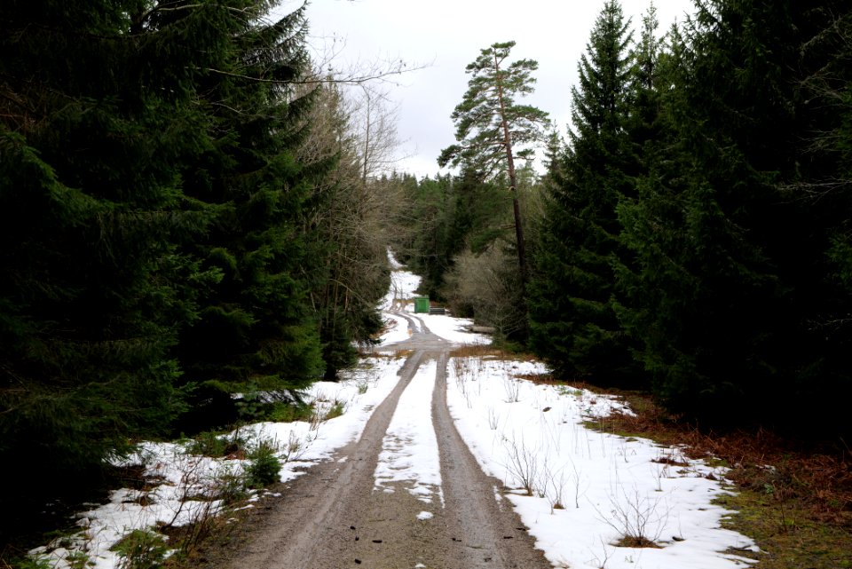 Salzleckenweg 2020-03-11 04