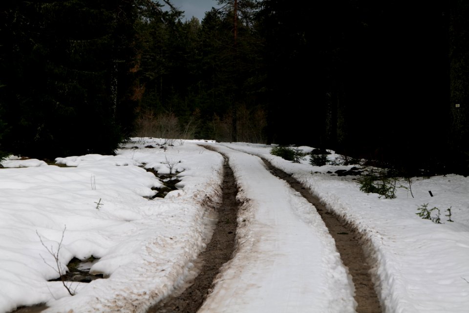 Salzleckenweg 2020-03-11 13