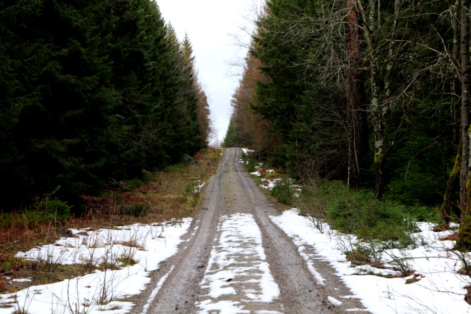Salzleckenweg 2020-03-11 02
