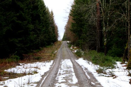 Salzleckenweg 2020-03-11 02
