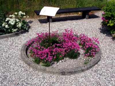 Saltzmuseum Mariager pic-005