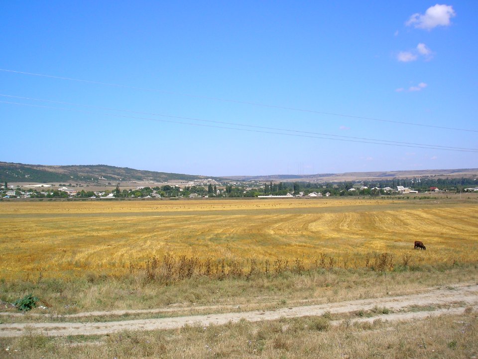 Samokhvalovo 5
