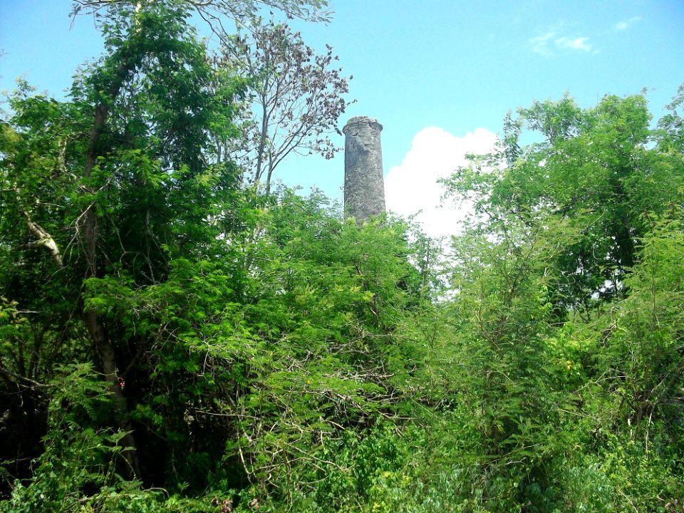San José (Tixpéhual), Yucatán (01)