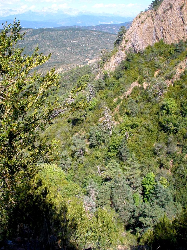 San Juan de la Peña - Sendero de montaña a Santa Cruz de la Serós 23