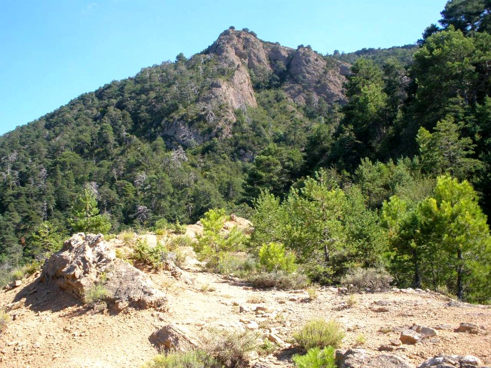 San Juan de la Peña - Sendero de montaña a Santa Cruz de la Serós 33