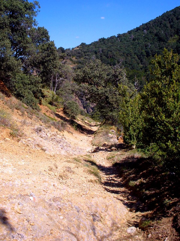 San Juan de la Peña - Sendero de montaña a Santa Cruz de la Serós 41