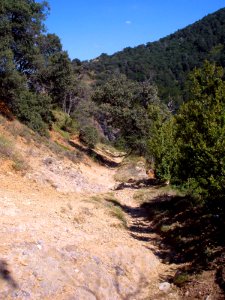 San Juan de la Peña - Sendero de montaña a Santa Cruz de la Serós 41