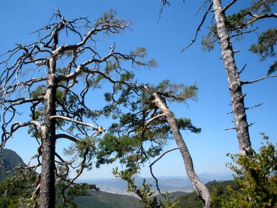 San Juan de la Peña - Sendero de montaña a Santa Cruz de la Serós 06
