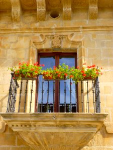 Samaniego - Hotel Palacio de Samaniego 4
