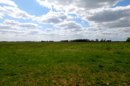 Salzstelle Nauen 2020-05-15 17