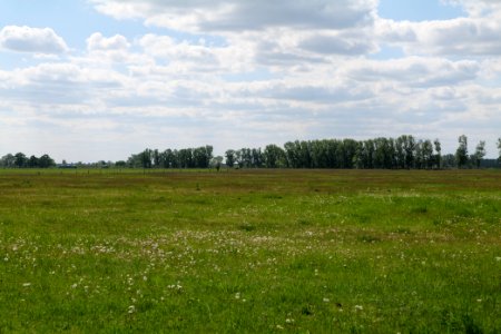 Salzstelle Nauen 2020-05-15 15