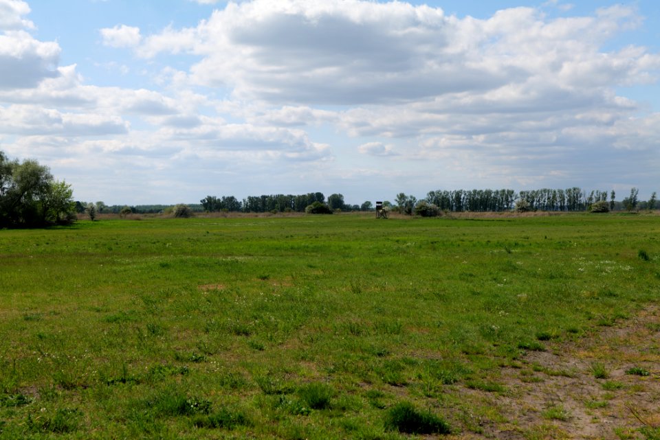 Salzstelle Nauen 2020-05-15 03