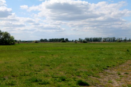 Salzstelle Nauen 2020-05-15 03