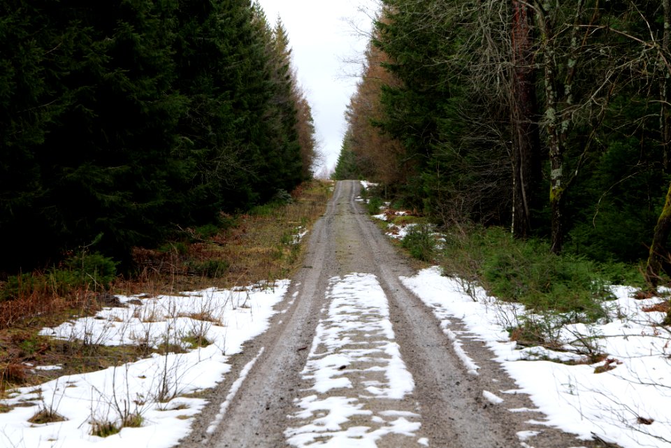 Salzleckenweg 2020-03-11 03