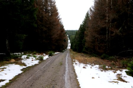 Salzleckenweg 2020-03-11 05