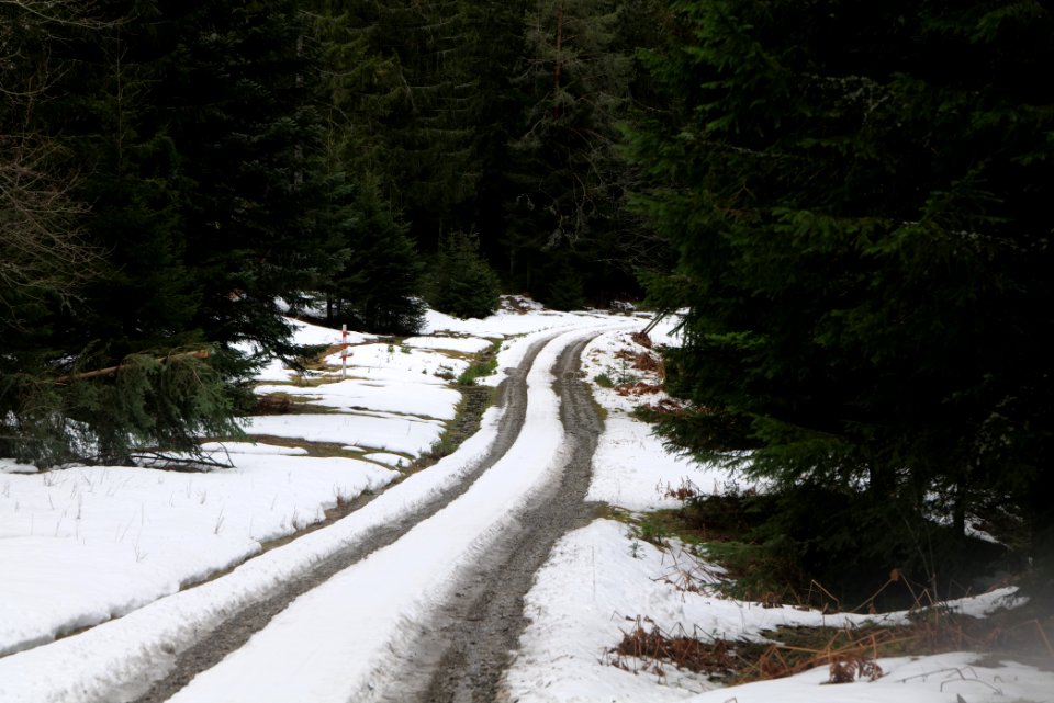 Salzleckenweg 2020-03-11 09
