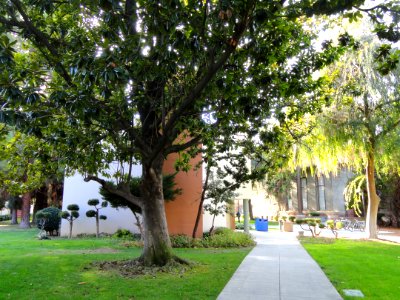 San José State University - DSC03939