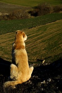 Thinking loneliness peace