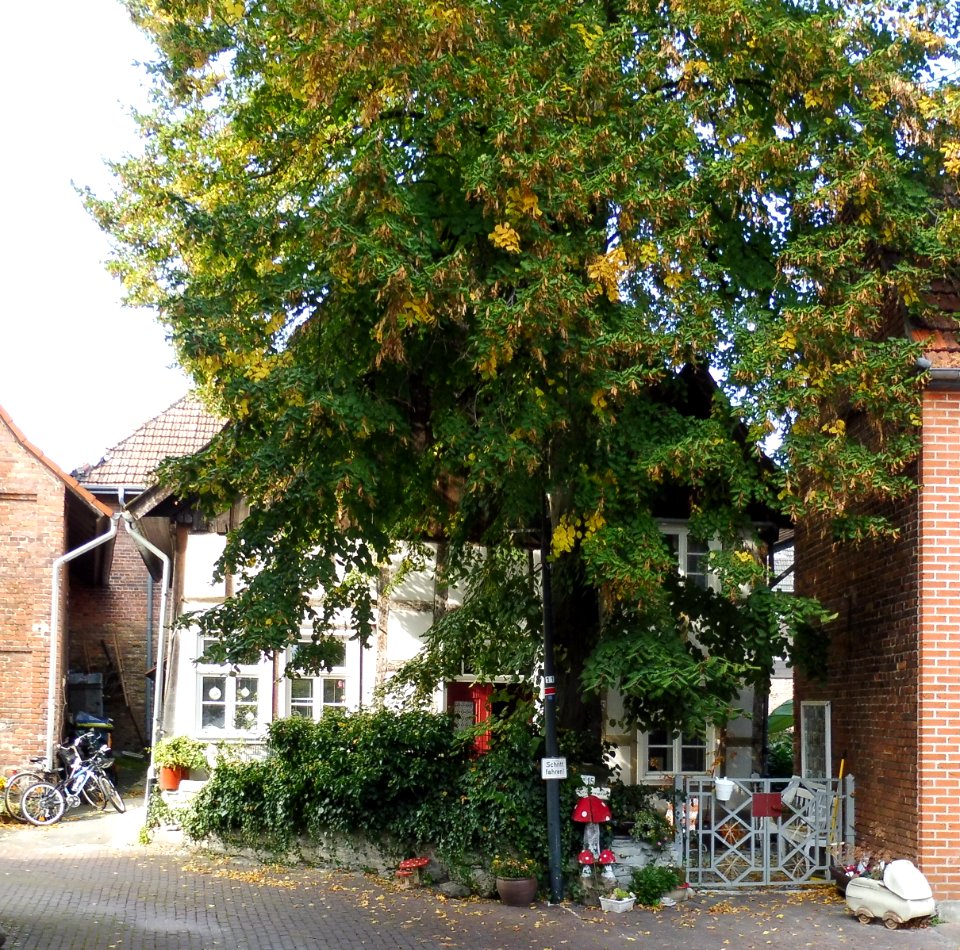 Salzkotten - Klingelstraße 15