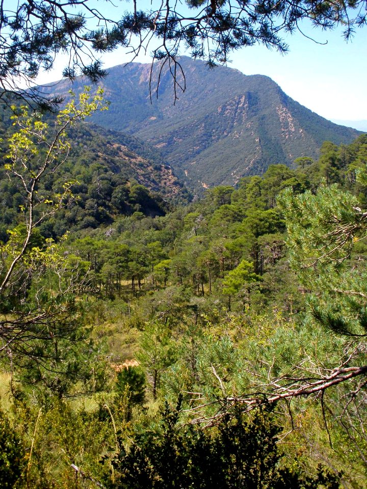 San Juan de la Peña - Sendero de montaña a Santa Cruz de la Serós 09