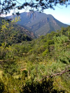 San Juan de la Peña - Sendero de montaña a Santa Cruz de la Serós 09