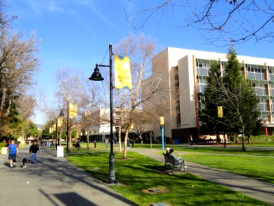 San José State University - DSC03944