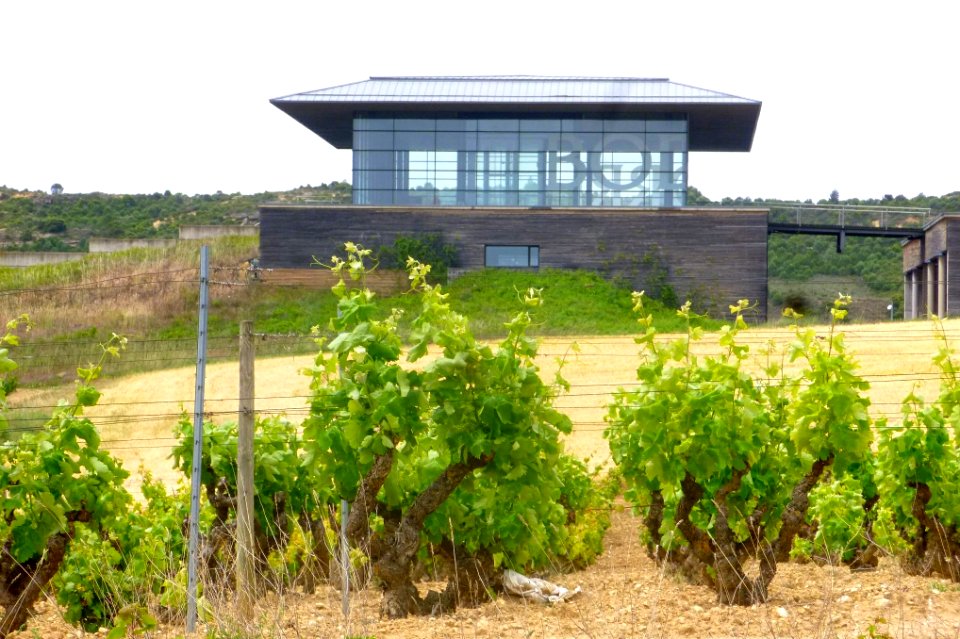 Samaniego - Bodegas Baigorri 17