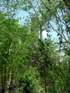 San José (Tixpéhual), Yucatán (02)