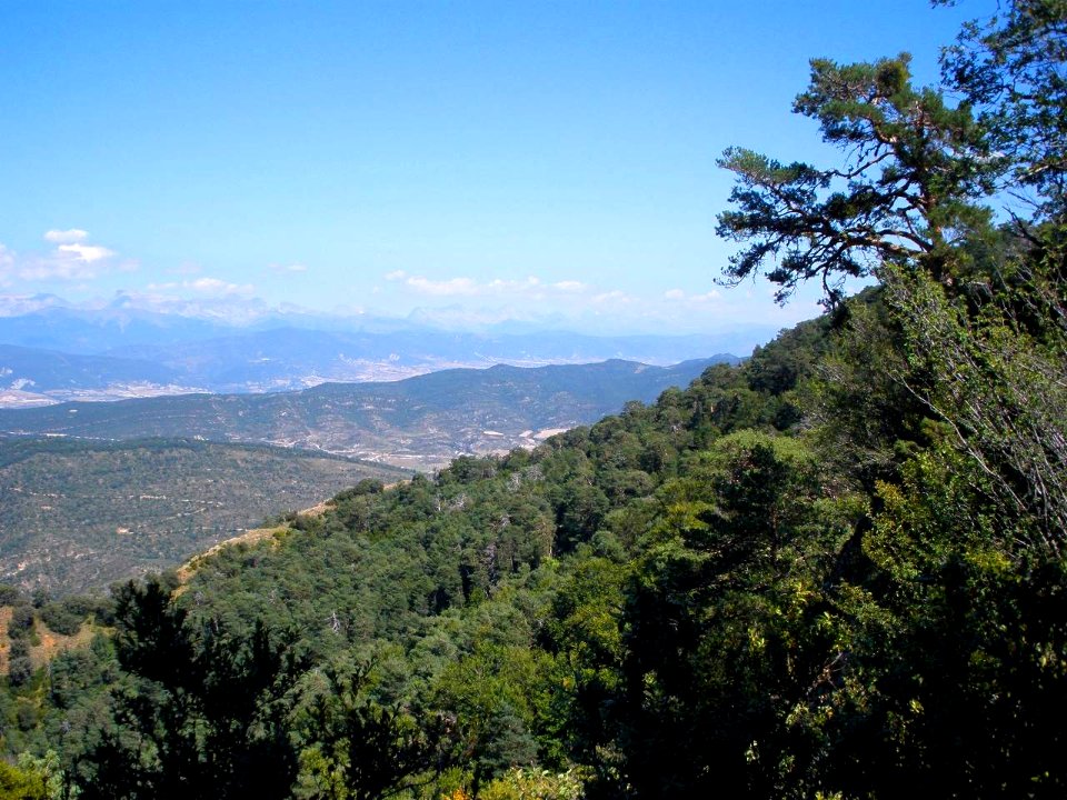 San Juan de la Peña - Balcón de los Pirineos 7