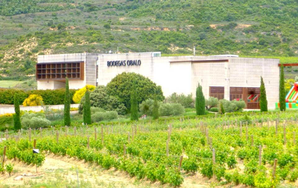 Samaniego - Bodegas Obalo