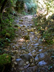 San Juan de la Peña - Sendero de montaña a Santa Cruz de la Serós 26