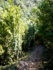 San Juan de la Peña - Sendero de montaña a Santa Cruz de la Serós 25