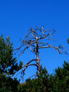 San Juan de la Peña - Sendero de montaña a Santa Cruz de la Serós 10