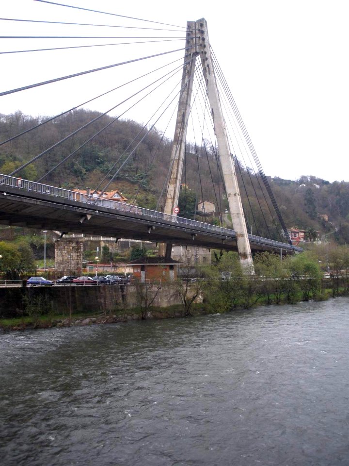 Sama (Langreo) - Río Nalón 1