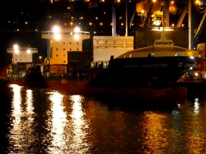 Samskip Innovator & Samskip Courier by night in Rotterdam pic1
