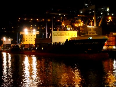 Samskip Innovator & Samskip Courier by night in Rotterdam pic2
